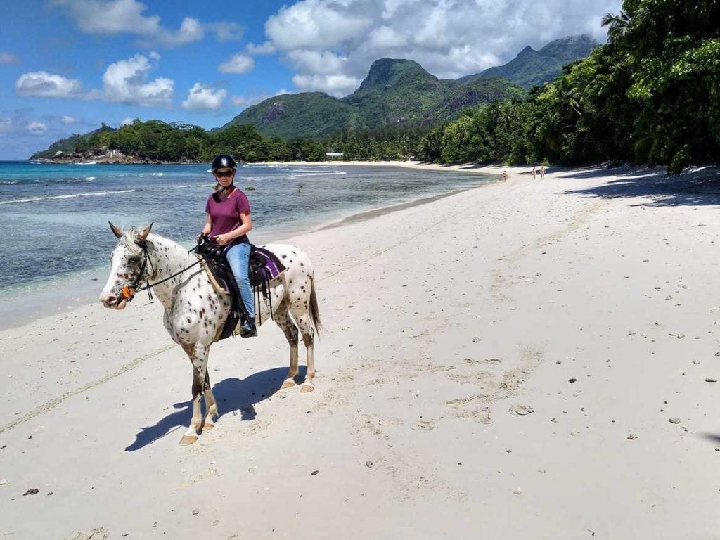 Stute Yazela am Strand in der Nähe vom Avani Hotel auf Mahe Seychellen
