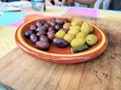 Oliven auf Mallorca