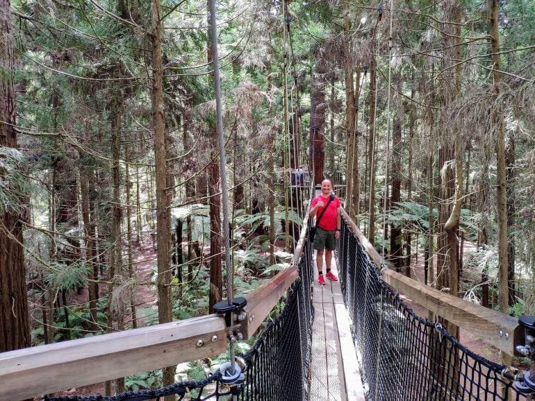 Redwoods Treewalk in Rotorua Neuseeland