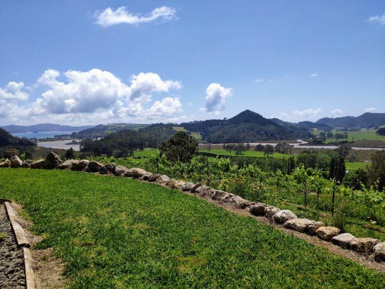 Purangi Winery Coromandel Peninsula Neuseeland